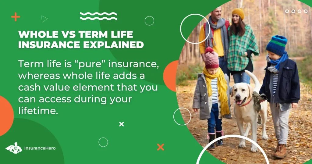 whole vs term life insurance